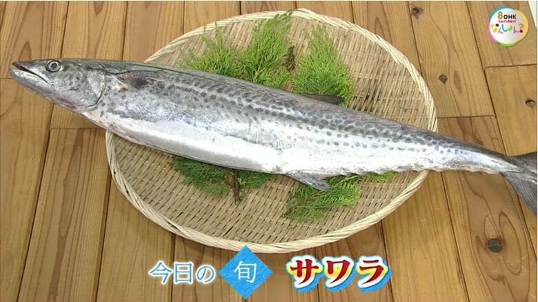 【瀬戸内旬紀行】岡山県が消費量全国１位…瀬戸内の旬の味覚　サワラ【岡山発】｜FNNプライムオンライン