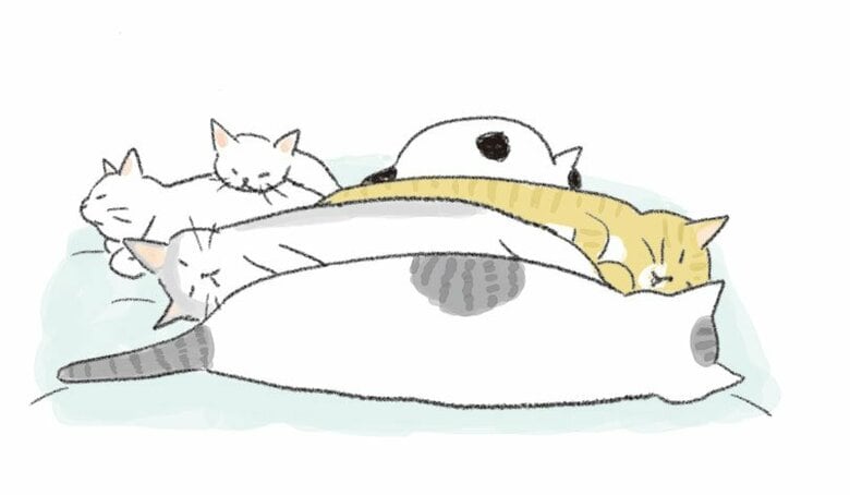 【猫あるある漫画】なんでそんなに猫しぐさ　第4回「ごめん寝、まぶしい寝、猫の寝相はかわいい寝」｜FNNプライムオンライン