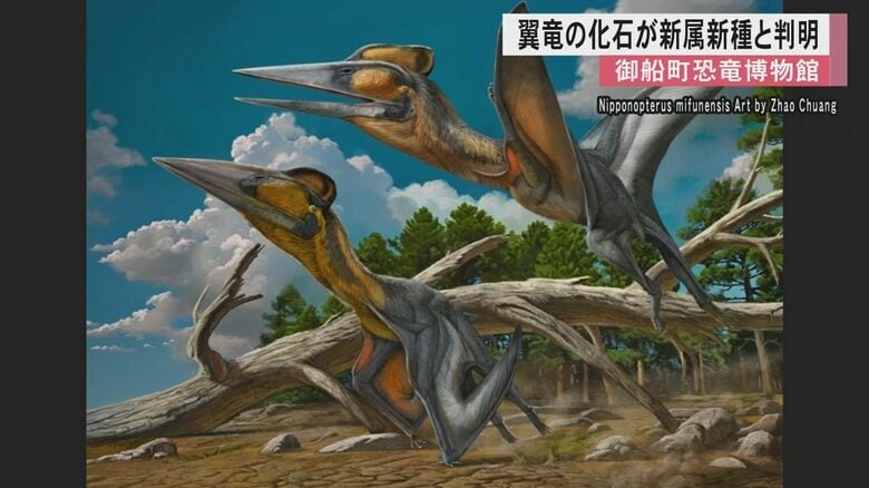 「世界で見つかっていない新しい翼竜」熊本・御船町で発見の化石が新属新種の大型翼竜と判明　『ニッポノプテルス・ミフネンシス』と命名｜FNNプライムオンライン
