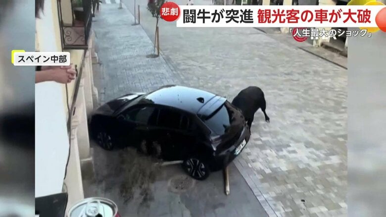 闘牛が止まっていた黒い車に向かって突進する一部始終⑥
