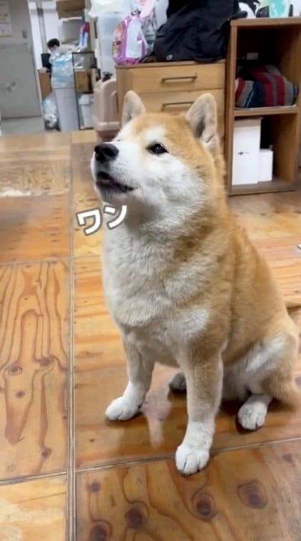 提供：エイトデザイン