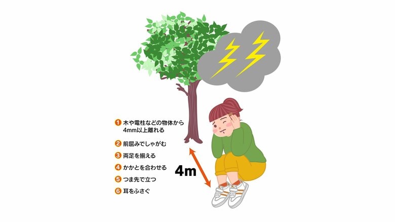 雷を避けるには木から4m離れることが大事