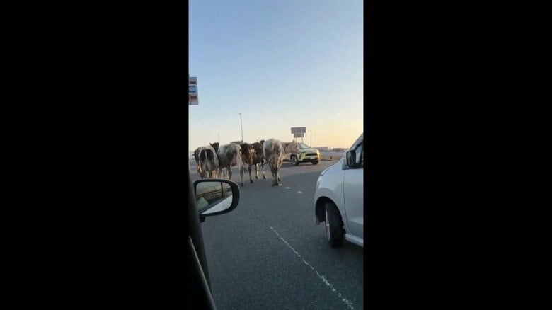 視聴者投稿映像