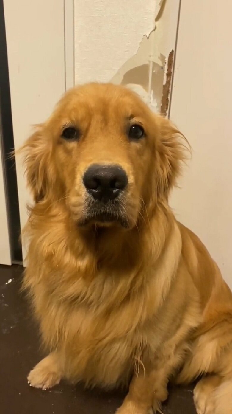 泳いでしまっている