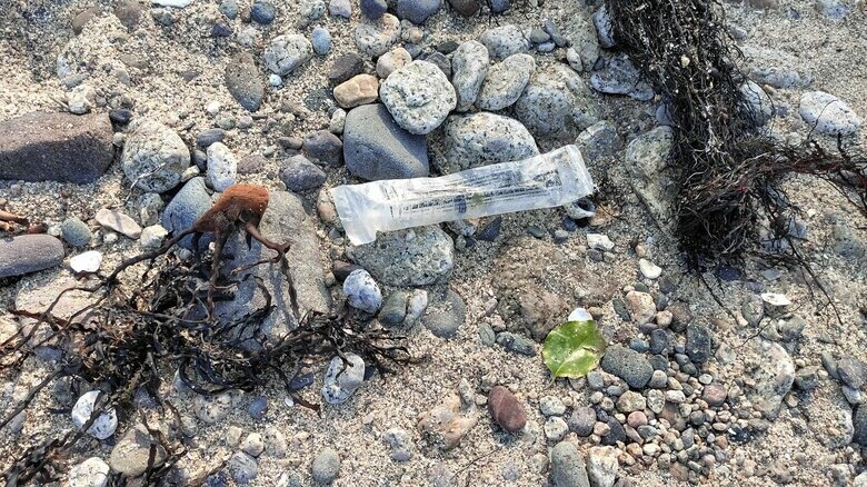 写真：竹野スノーケルセンター