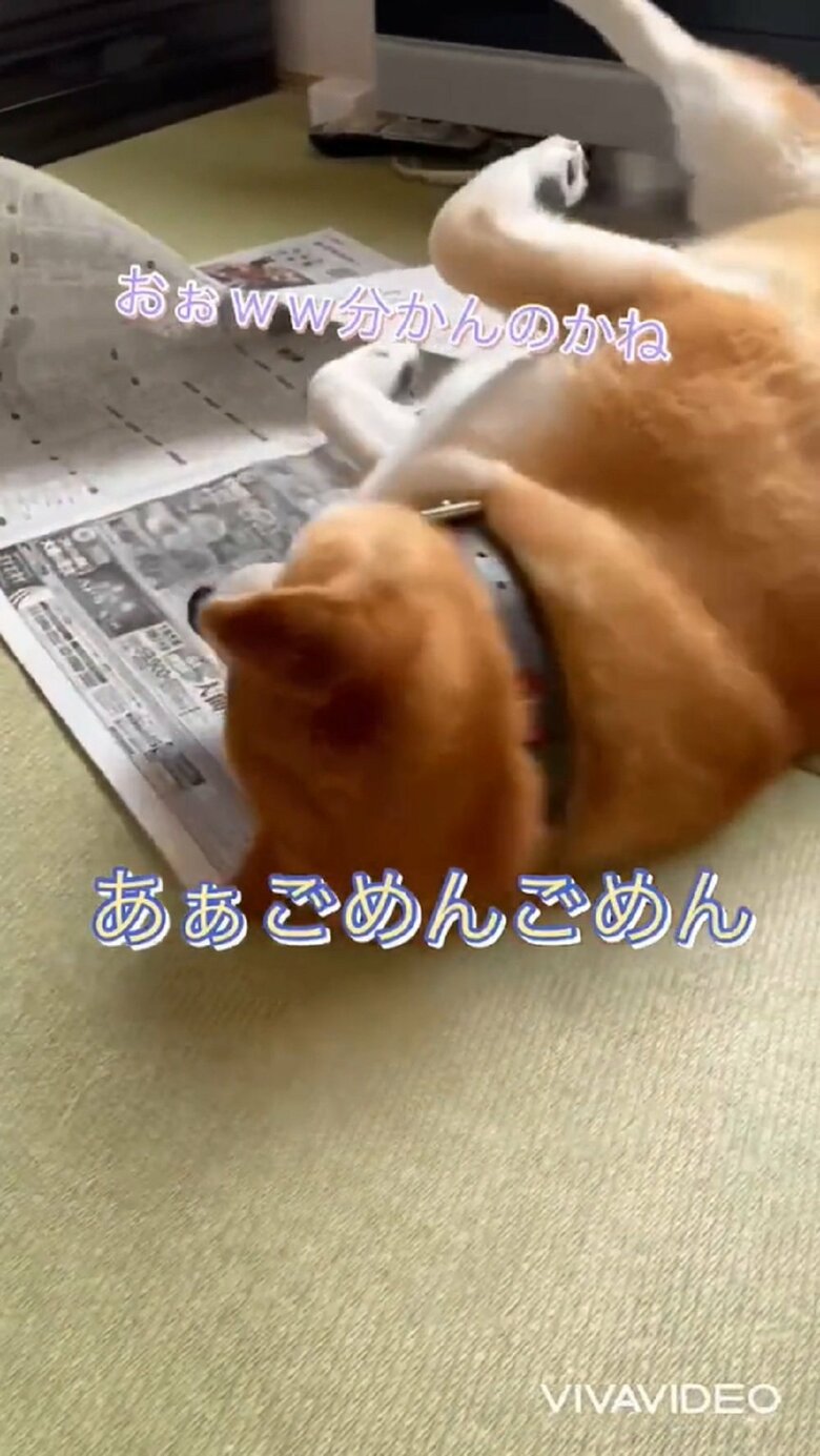 これにはおばあちゃんも「分かんのかね」と驚き