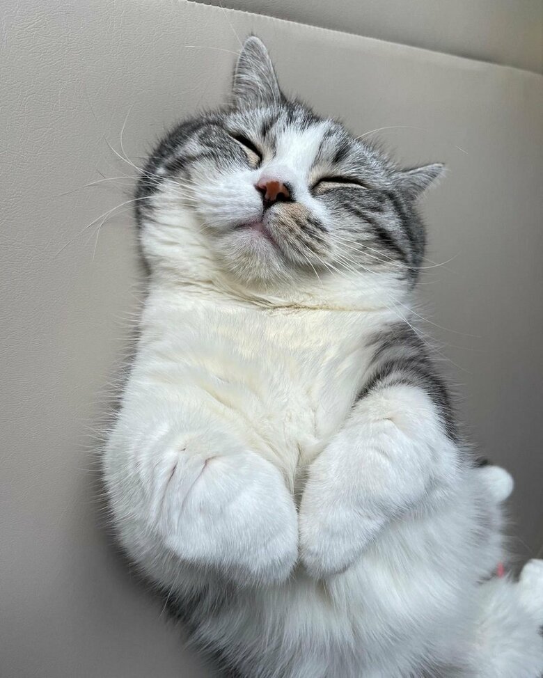 ぐっすり
