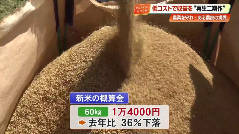 新米の概算金は去年比36%の下落
