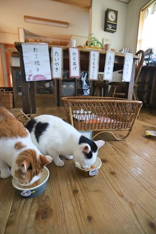 提供：ゆうこさん