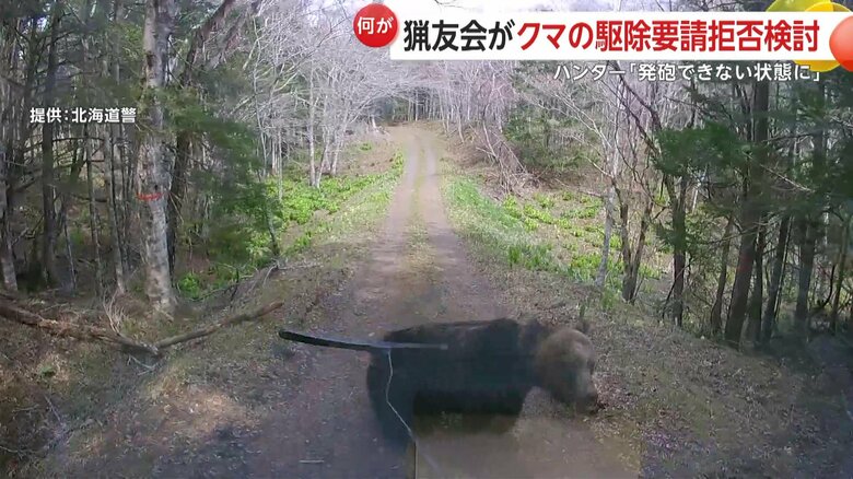 ヒグマが車に突進してフロントガラスとワイパーを破壊する様子