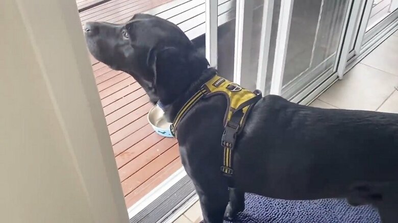 散歩に行けるね