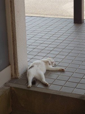 ときには玄関ポーチでリラックス