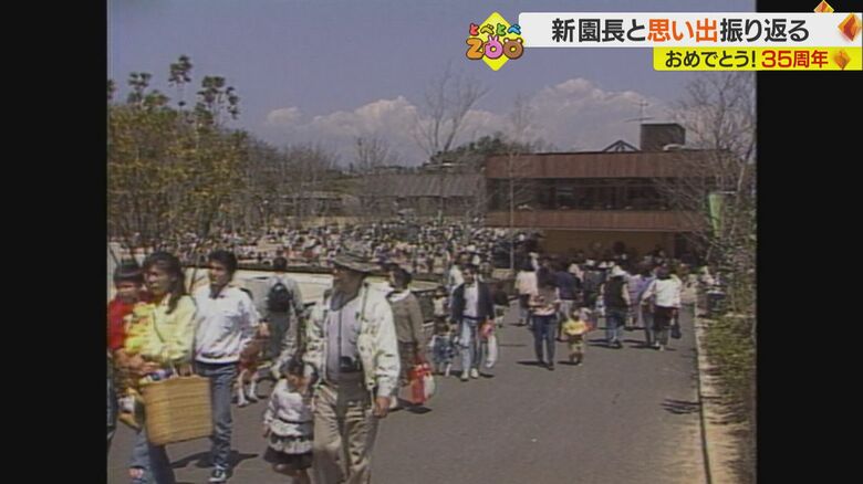 オープン当初のとべ動物園