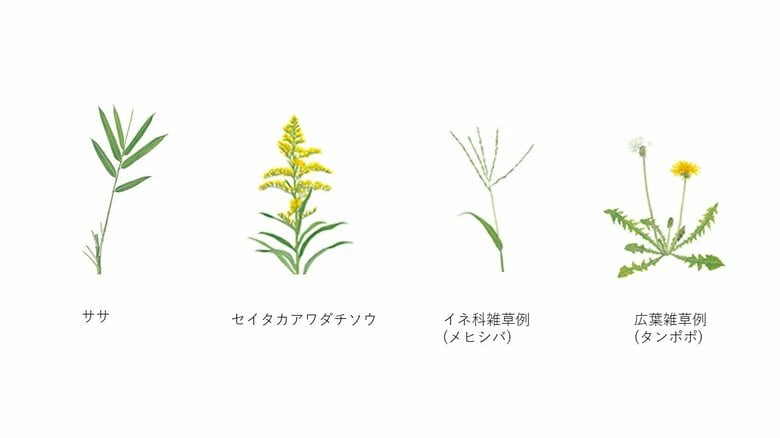 提供：日産化学株式会社