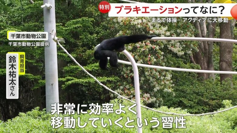 ぶら下がりながら移動するハートちゃん