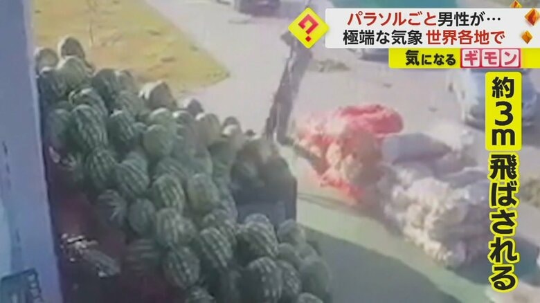 （andal Manav&Balikcilik）