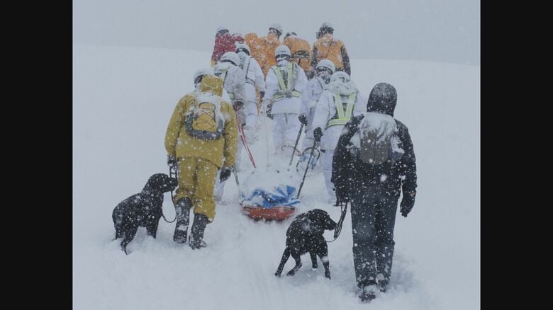 訓練の様子（提供：災害救助犬十日町）