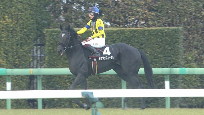 ルカランフィースト