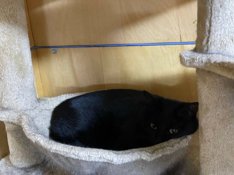 提供：マクーさん