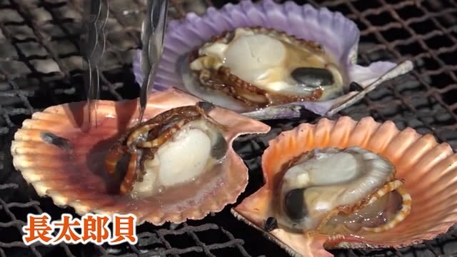 高知市で土佐の豊穣祭はじまる