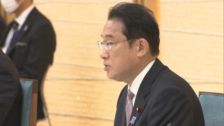 経済安全保障推進会議で発言する岸田首相（2021年11月19日）