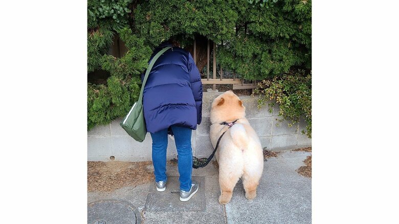 いつものスポットで猫チェック