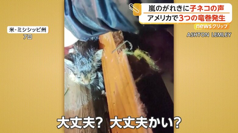 すぐに「大丈夫？大丈夫かい？」と子ネコの身を案じる男性