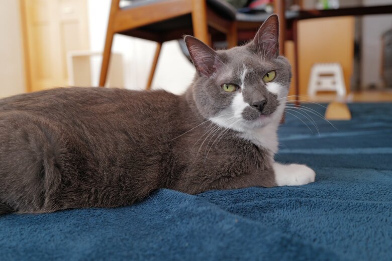 “どろぼうひげ”ことゆきくん