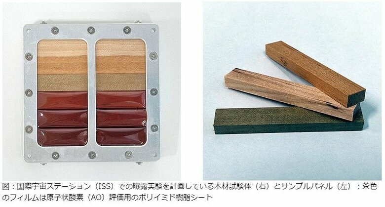 出典：京都大学・住友林業