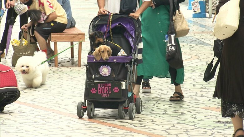 めざすは「イヌにやさしく、活気ある商店街」