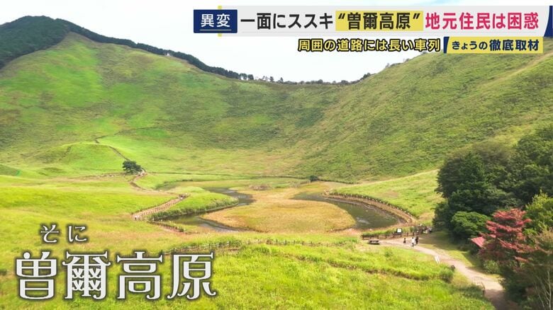 曽爾高原