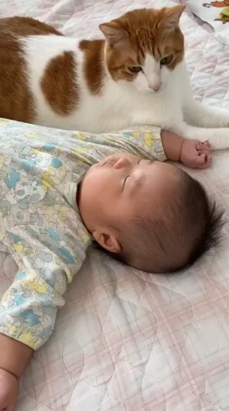 息子くんが小さい頃から近くにいるはっさくくん（提供：Hassakuさん）