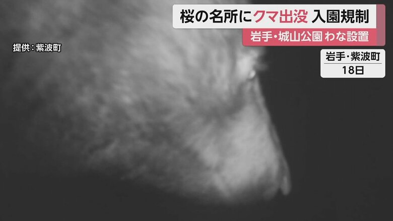 紫波町は城山公園への入園を規制、監視カメラを設置して警戒