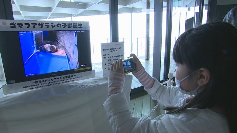 モニター越しに写真撮影！