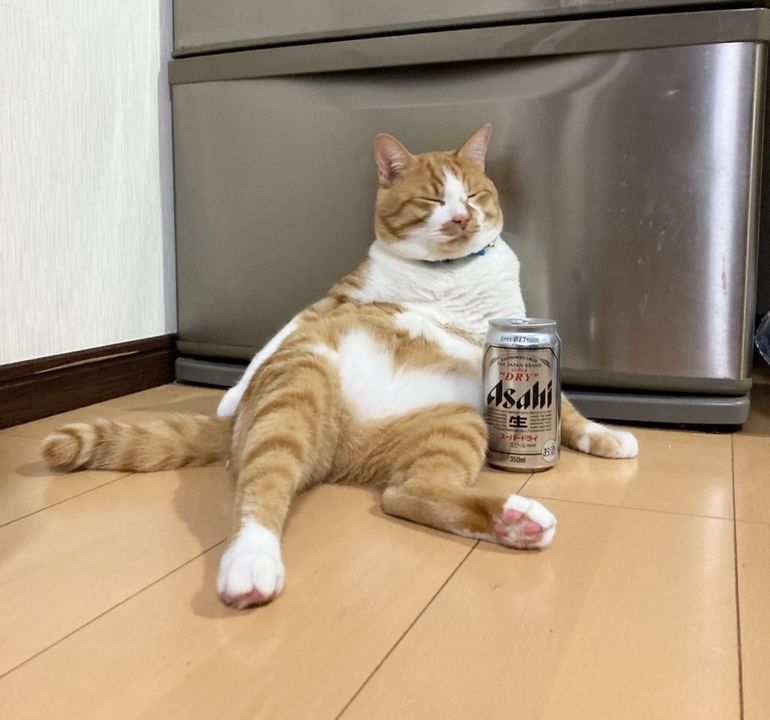 提供：赤瀬川和寿さん