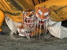 “激しく熱い”大槌祭り　踊りや舞いに見る人の生きざまと濃密な関係