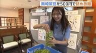 ブランド枝豆“黒埼茶豆”をお得にゲット！「味は同じ」規格外品の詰め放題イベントにぎわう「消費してもらえたら作る側もうれしい」新潟