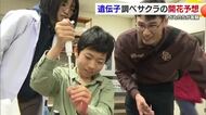 “今年のサクラはいつ咲く？”子供たちが遺伝子検査で開花を予想【愛媛】