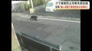 市街地で相次ぐクマの目撃　秋田県が被害対策強化へ　鈴木知事「強い決意で実効性ある対策を」