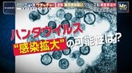 ハンタウイルス集団感染疑いのクルーズ船がテネリフェ島に到着　乗客は隔離対応も住民には不安