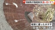 【危機】「全滅に近い」高級魚・マダイがホタテ稚貝食い尽くす…全体“7〜8割”被害で養殖に打撃・価格高騰の恐れも　青森・陸奥湾