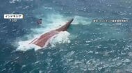 インドネシアで旅客船転覆　悪天候に見舞われ行方不明に　6人死亡、129人安否不明
