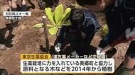 薬樹の森を目指して...地域住民などが生薬の原料“ホオノキ”の苗木を植樹　秋田・美郷町