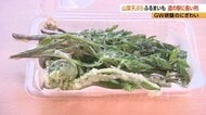 「無料」に長い例　「山菜の天ぷら」道の駅で200食限定　長野県内産のコシアブラ、フキノトウ、コゴミ、セリの4種類　長野・青木村