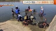 「約10億円の損失」堤防決壊で“ニシキゴイ”流出…千葉の養鯉業者を新潟の同業者が支援！自身も中越地震で施設全壊を経験「自分たちのやれることを」