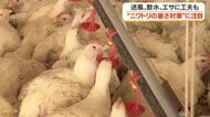 冷水・送風機・スプリンクラー　1万5000羽のニワトリを守る「夏の戦い」　鹿児島・薩摩川内の畜産農家が挑む暑さ対策