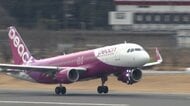 「ピーチ」も不正アクセス影響　一時旅程表メール届かず