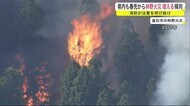 県内も春先から林野火災増える傾向 消防が注意を呼び掛け<岩手県>
