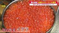 北海道の味覚「秋サケ・ウニ」大ピンチ!相次ぐ大量死…高水温で