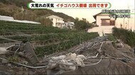 強風被害か イチゴハウス倒壊し出荷できず 農家「精神的にきつい」 静岡市